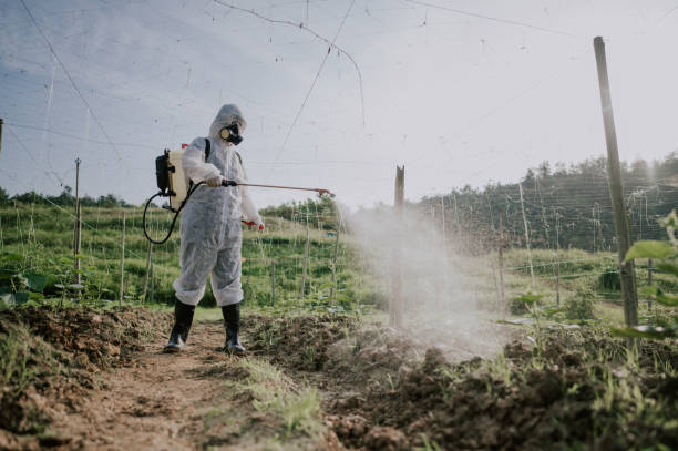 Best Pest Prevention Services  in Point Lookout, NY