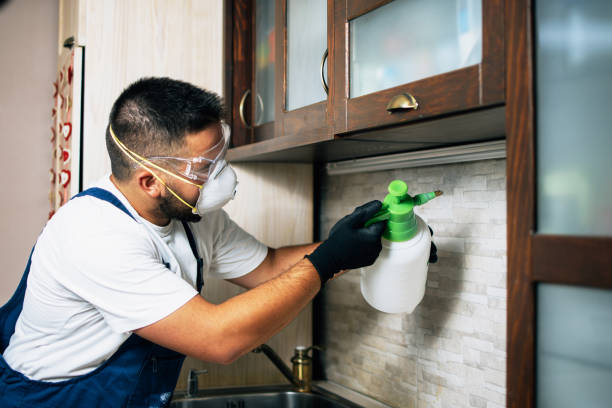 Best Local Pest Control Services  in Point Lookout, NY