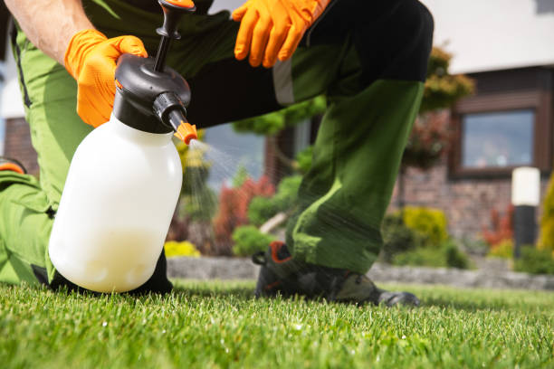 Best Local Pest Control Services  in Point Lookout, NY