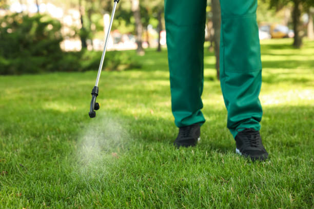 Professional Pest Control in Point Lookout, NY