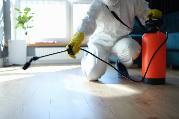 Best Flea Control Services  in Point Lookout, NY