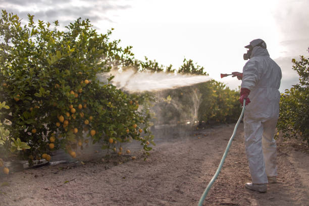 Pest Control for Restaurants in Point Lookout, NY