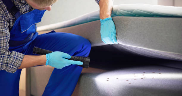 Best Termite Control Services  in Point Lookout, NY