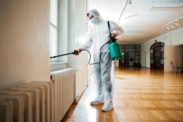 Best Termite Control Services  in Point Lookout, NY