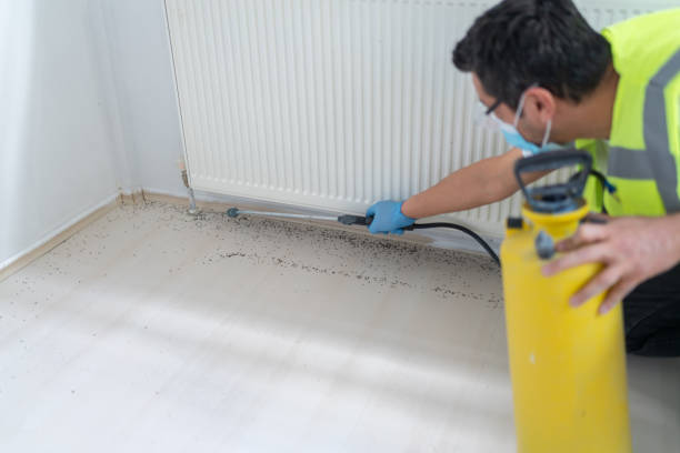 Best Mosquito Control Services  in Point Lookout, NY