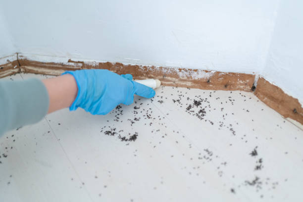 Best Pest Inspection Near Me  in Point Lookout, NY